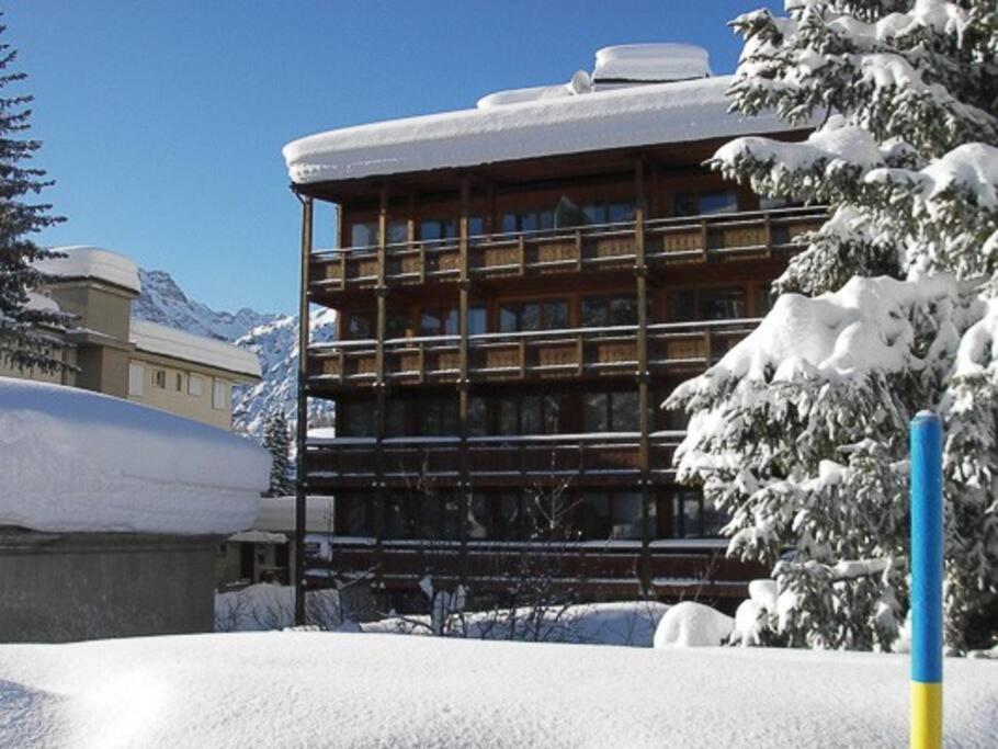 Haus Luegisland, 1-4 Gäste في أروسا: مبنى مغطى بالثلج بجوار شجرة مغطاة بالثلج