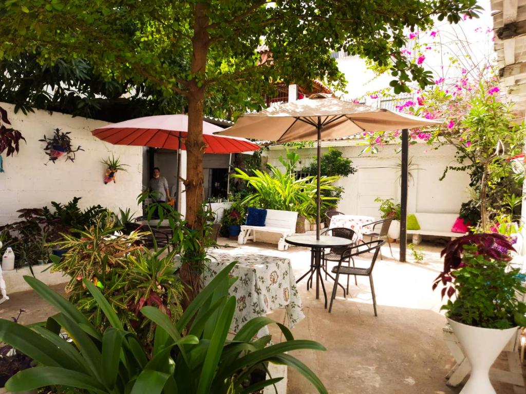 Taman di luar Casa Zaida Hostal Vintage