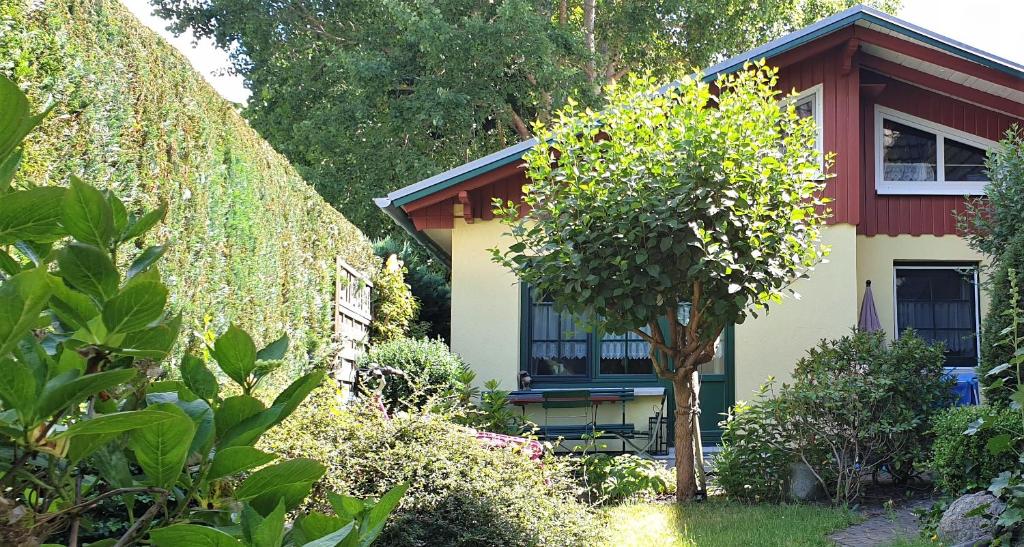 a house with a garden in front of it at Haus Lenelies in Prerow