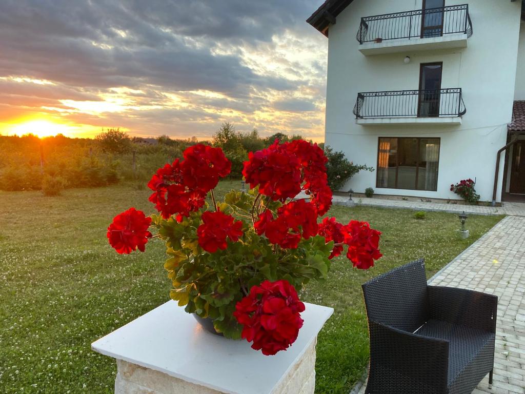 a vase of red flowers on a table in front of a house at Pensiunea Ivoire in Avrig