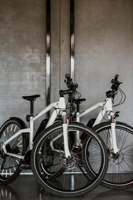 Jazda na bicykli v okolí ubytovania NATURE HOUSE Pszczyna