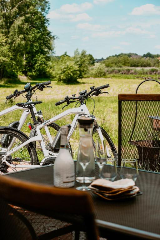 Jazda na bicykli v okolí ubytovania NATURE HOUSE Pszczyna