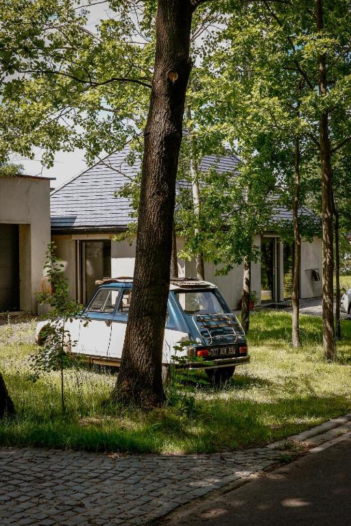 Vonkajšia záhrada v ubytovaní NATURE HOUSE Pszczyna