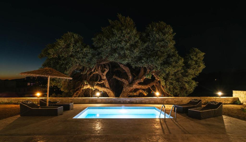 a swimming pool in front of a tree at night at Kedros Katikies in Kalamaki