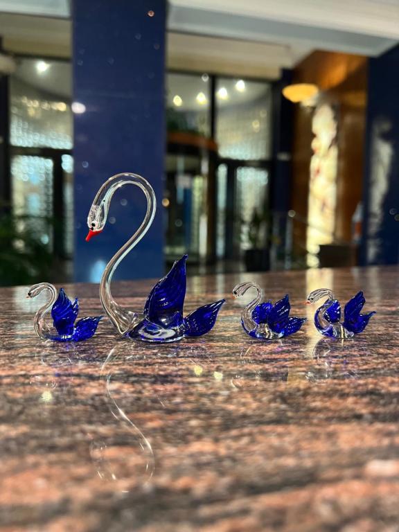 Hotel El Cisne - Resim 8