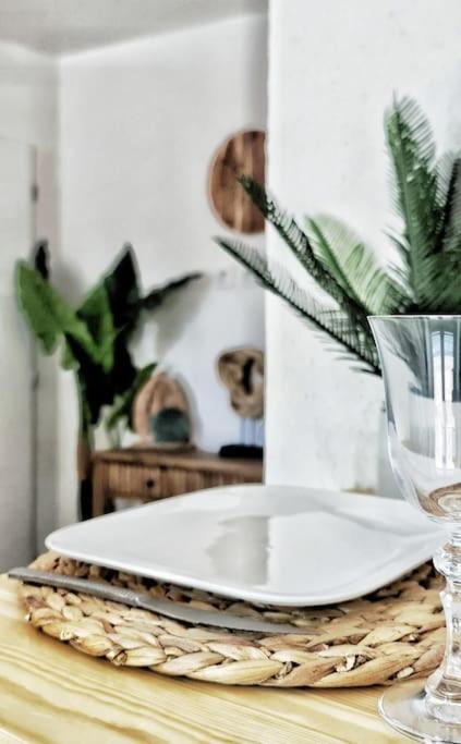Domáce zviera alebo zvieratá hostí v ubytovaní #NEW#TERRASSE SUD OUEST#PIED DE LA CITÉ #1