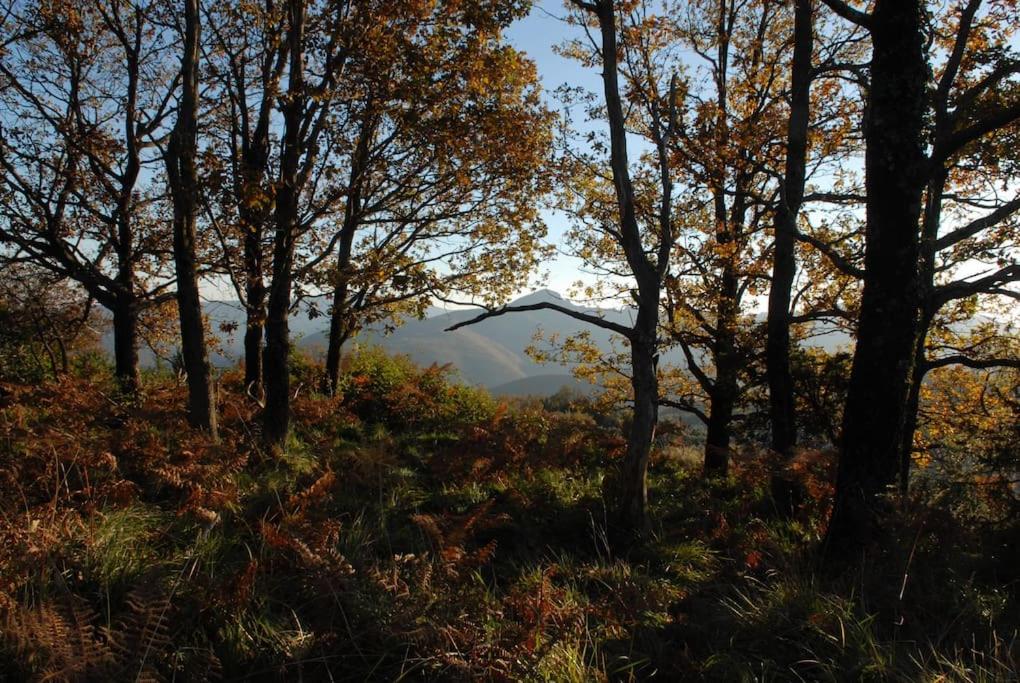 Fotografia z galérie ubytovania Cabane et potager sud Cévennes, jacuzzi en option v destinácii Roquedur