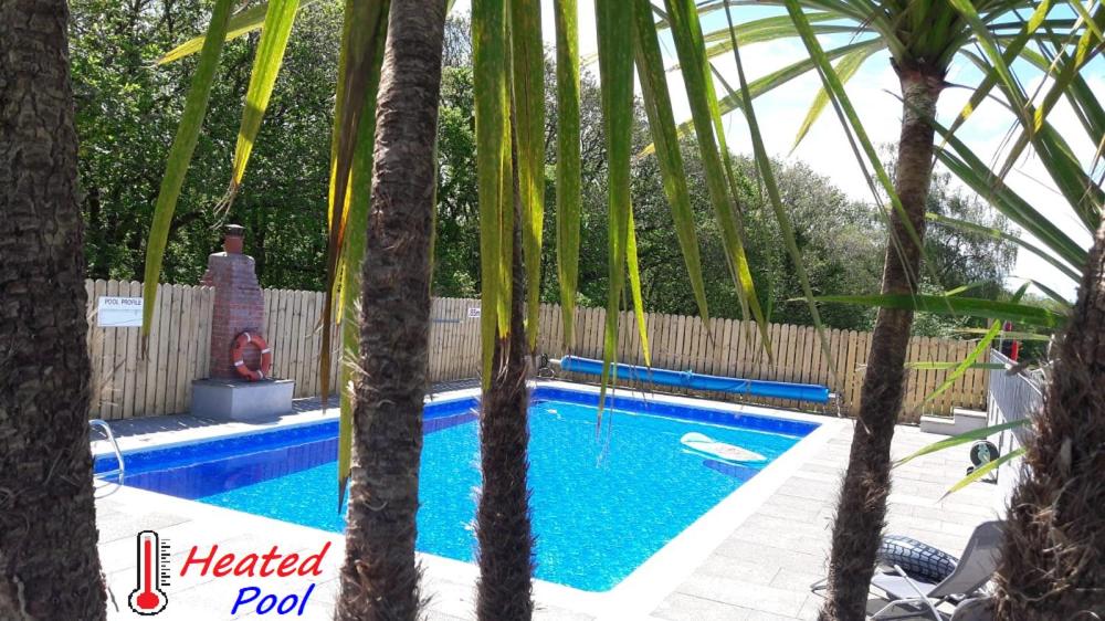 a swimming pool with palm trees in front of a fence at Greenways Valley Holiday Park in Great Torrington