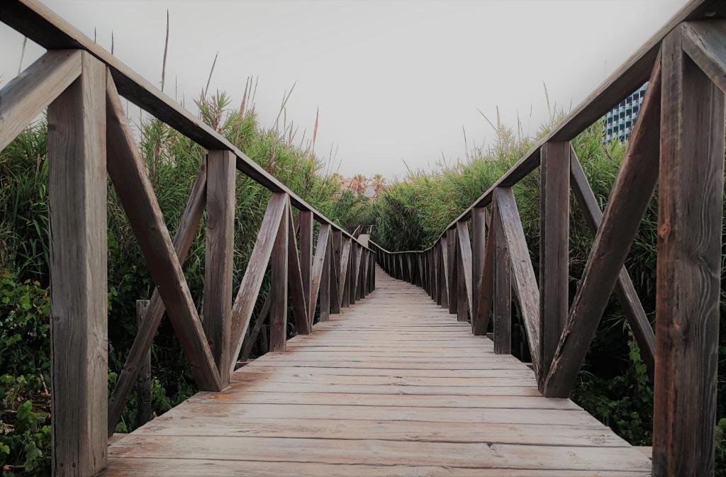 a wooden bridge over a river with trees at Villa Sandy Coast in El Moncayo