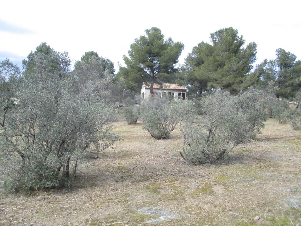 un champ avec des arbres et une maison en arrière-plan dans l'établissement Mazet pleine nature, à Mouriès