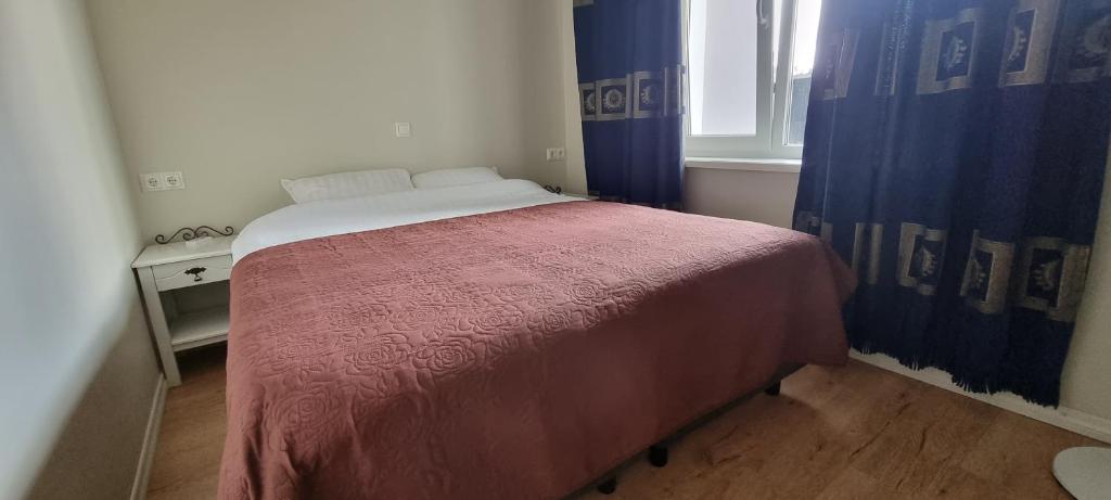 Voodi või voodid majutusasutuse Boose Apart toas