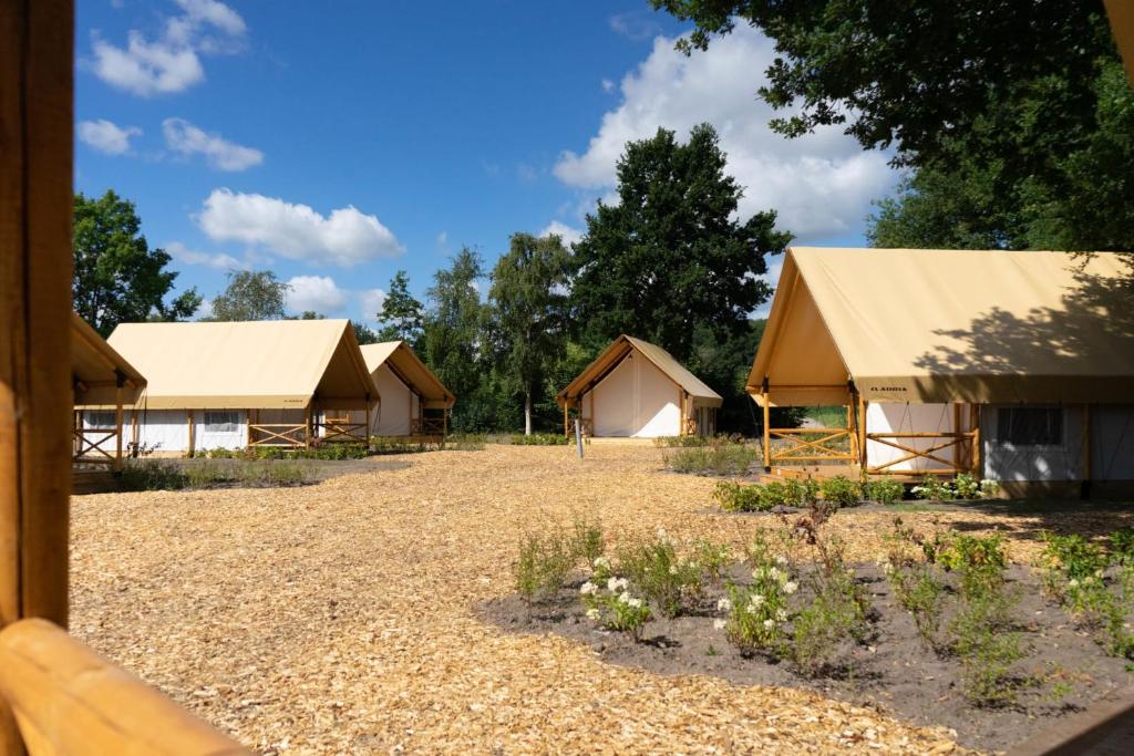 EuroParcs Zilverstrand - Pebble Lodge 4