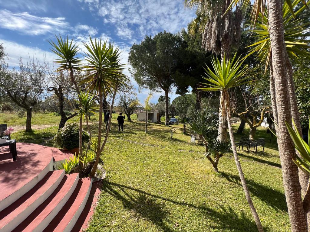 Fotografia z galérie ubytovania Villetta Relax con ampio giardino a Capo Vaticano/Tropea v destinácii Santa Maria