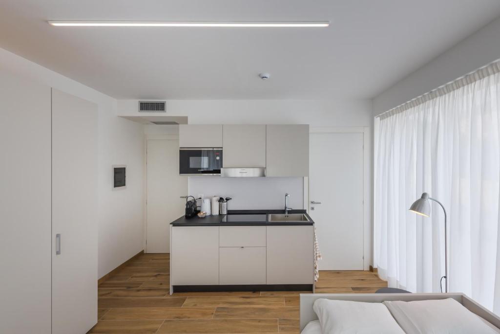 Kuchyň nebo kuchyňský kout v ubytování Modern Studios Mendrisio