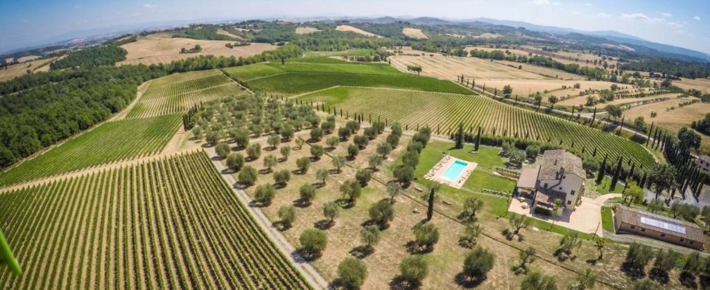 een luchtzicht op een wijngaard met een huis en bomen bij Villa le buche in Sarteano
