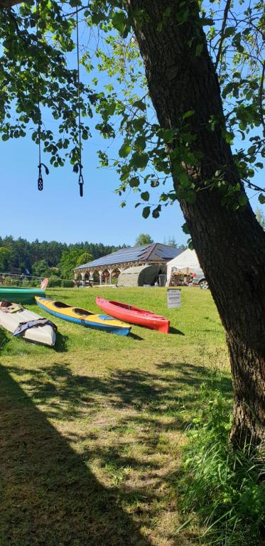Príroda v okolí apartmánu