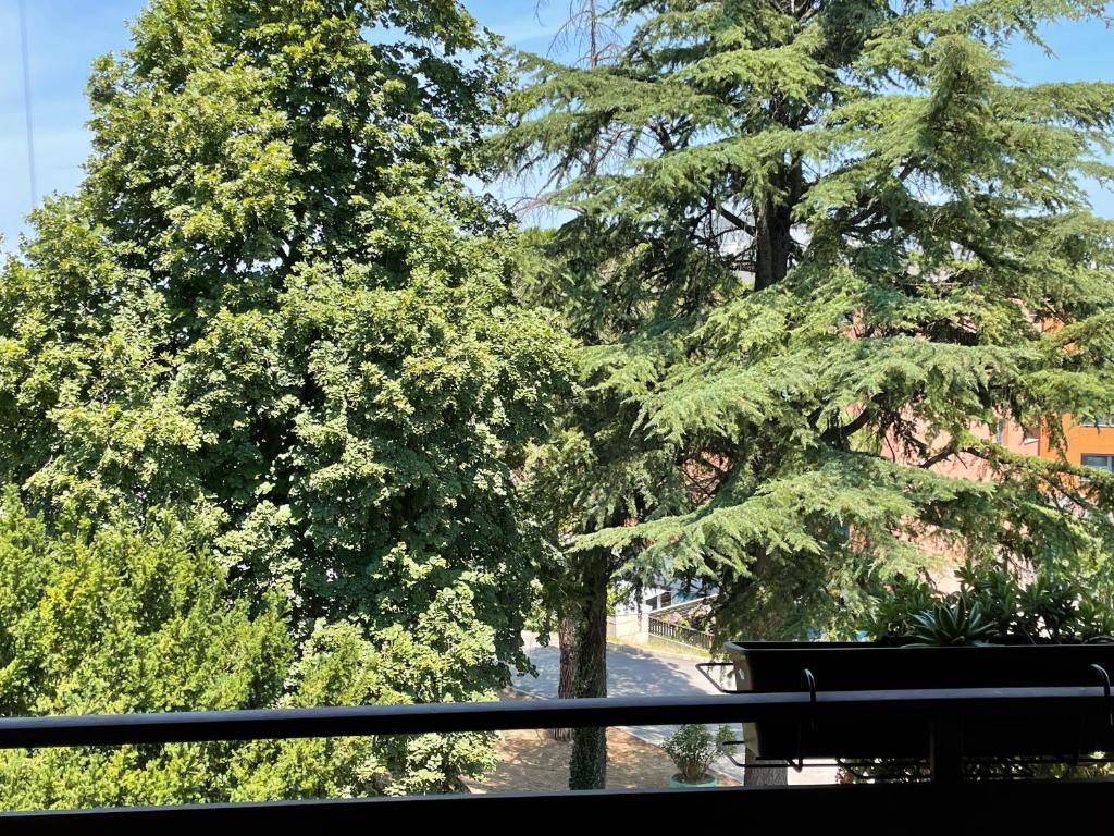 a view of a tree from a balcony at ANGELO in Koper
