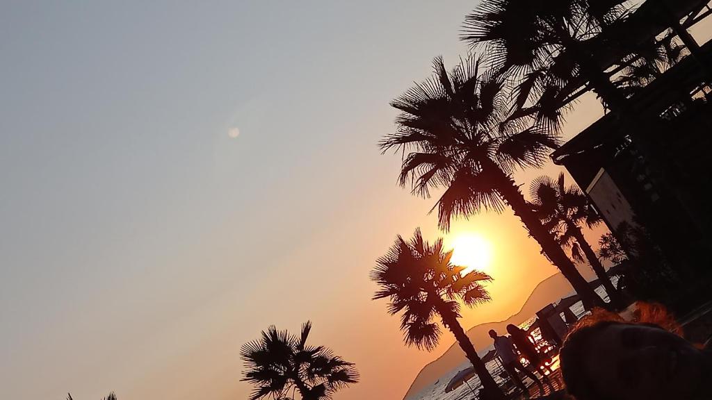 una puesta de sol con palmeras en primer plano en Lion's rooms, en Vlorë