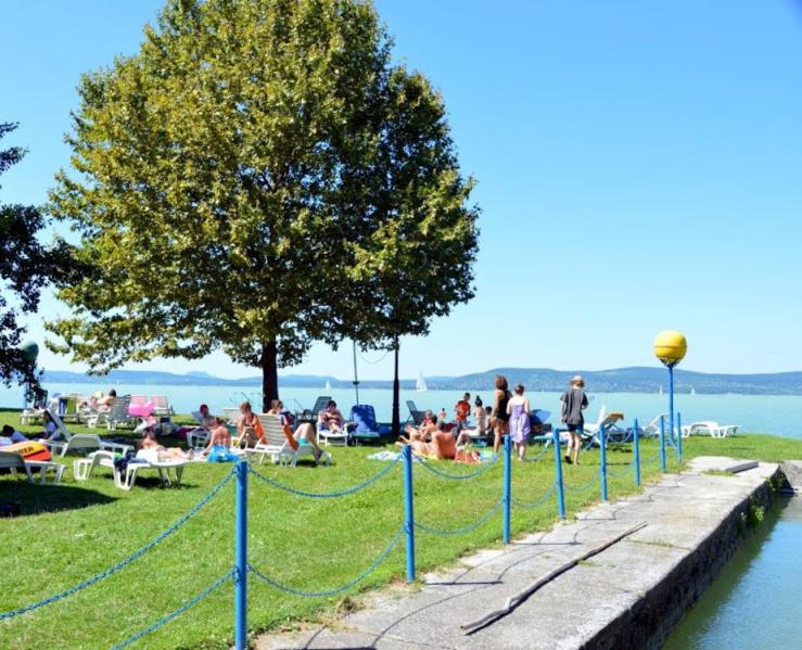 a group of people sitting on the grass by the water at Boglár-Coop Üdülő in Balatonboglár