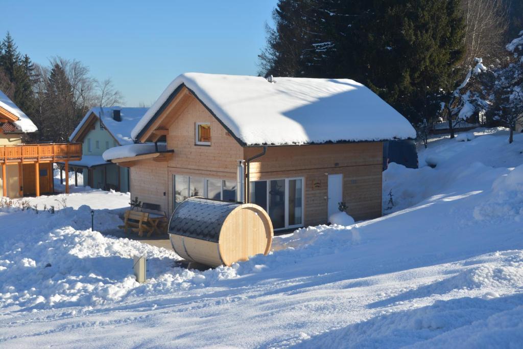 Dijkstra's cottage tokom zime