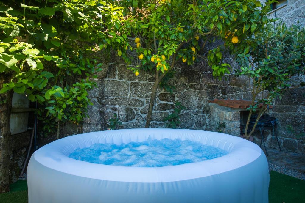 una grande vasca d'acqua di fronte ad un albero di Casa Pereira a Balança