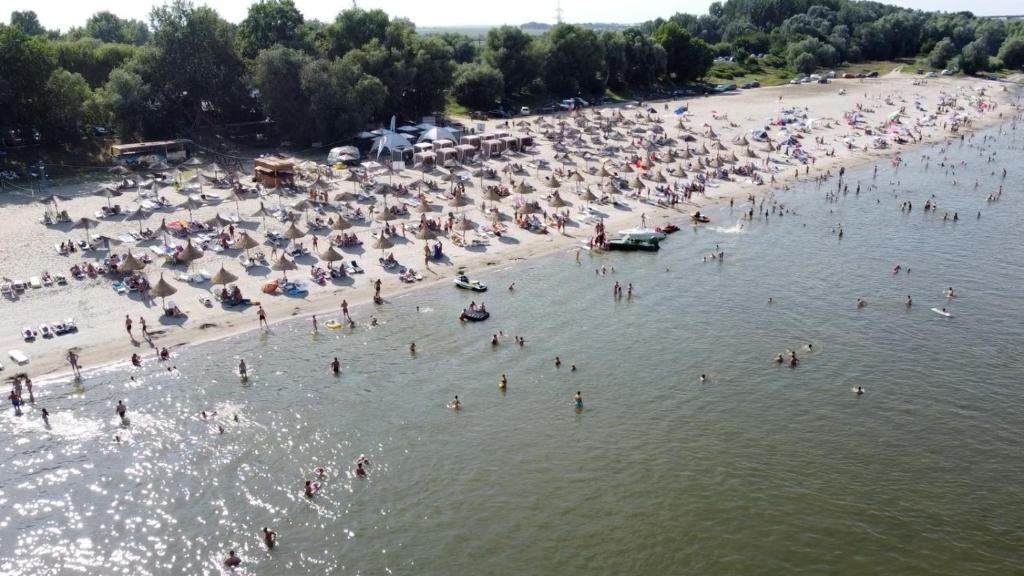 a group of people in the water at a beach at Albatros in Călăraşi