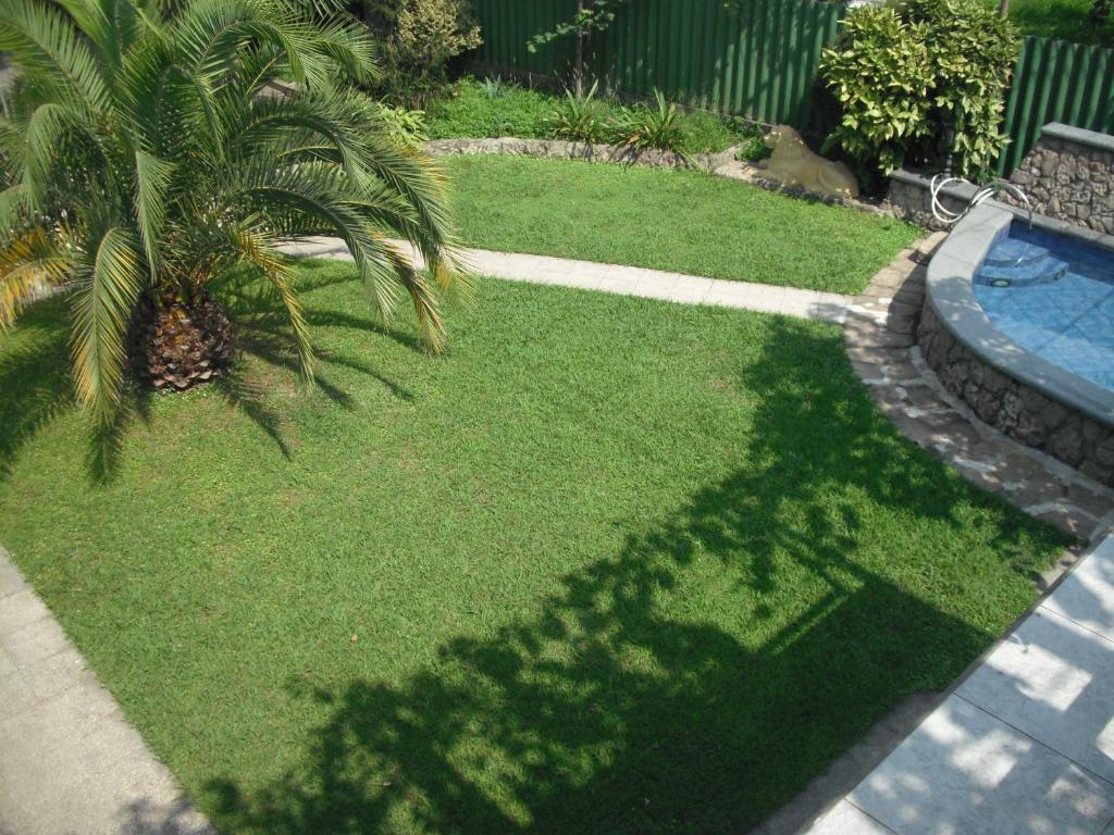 un patio con una palmera y una piscina en Homelike Inn en Makhinjauri