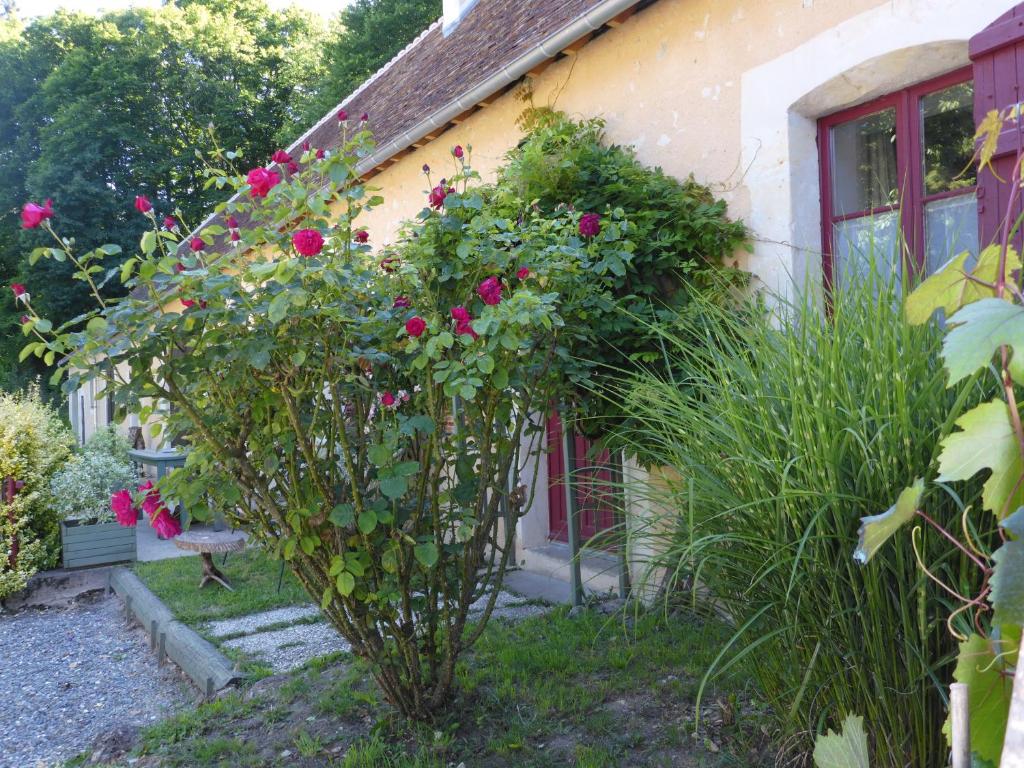 La petite Bardouillère - Maison De Deux Chambres
