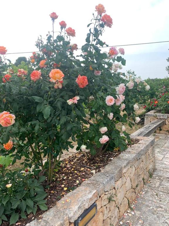 Ogród w obiekcie Il Giardino degli Antichi Sapori