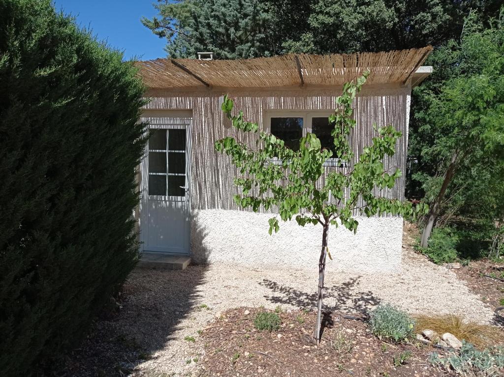un pequeño árbol frente a un pequeño edificio en l'Annexe, logement confortable avec piscine, en Mazan