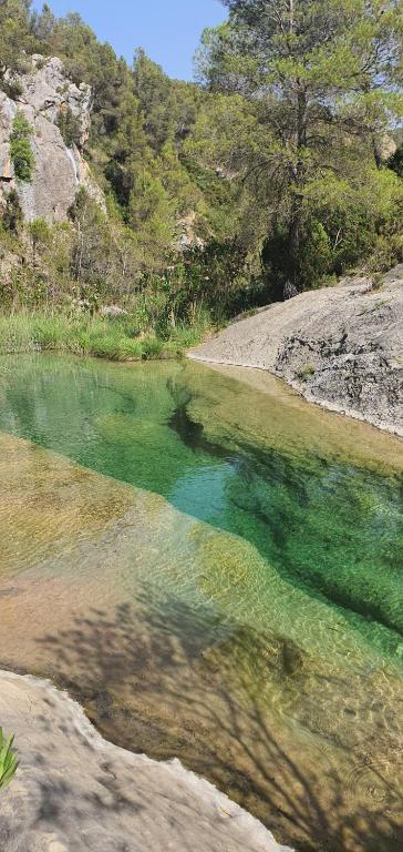 una piscina de agua verde esmeralda junto a una montaña en La Chirrichana, en Bicorp