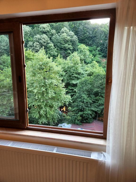 Kép Mersu A'la Konak Otel szállásáról Sapancában a galériában