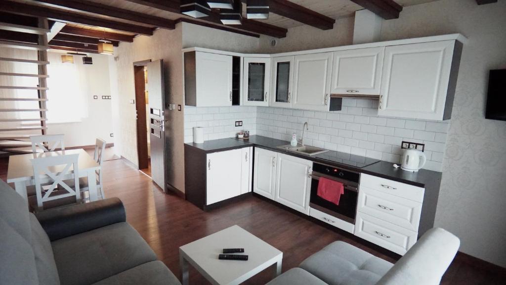 Kuchyňa alebo kuchynka v ubytovaní Apartamenty Leśny Zakątek