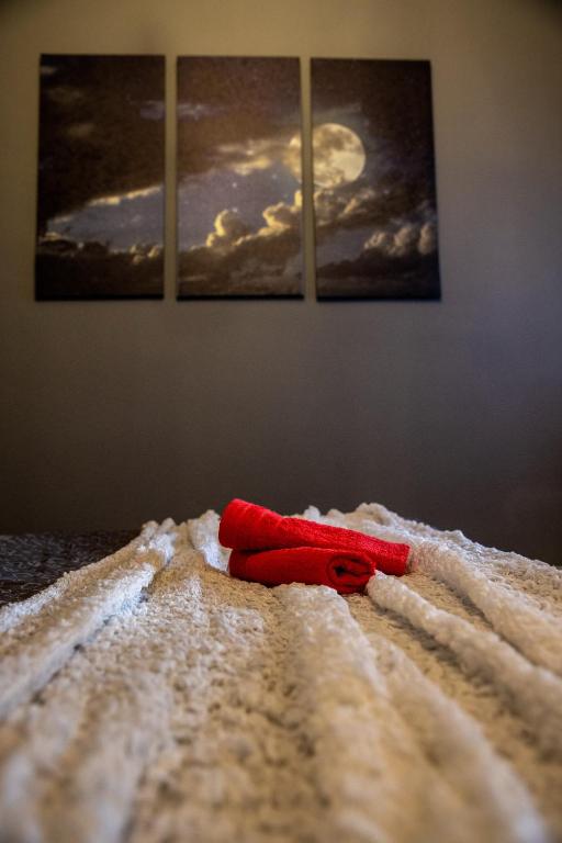 A bed or beds in a room at Lunar Meteorites
