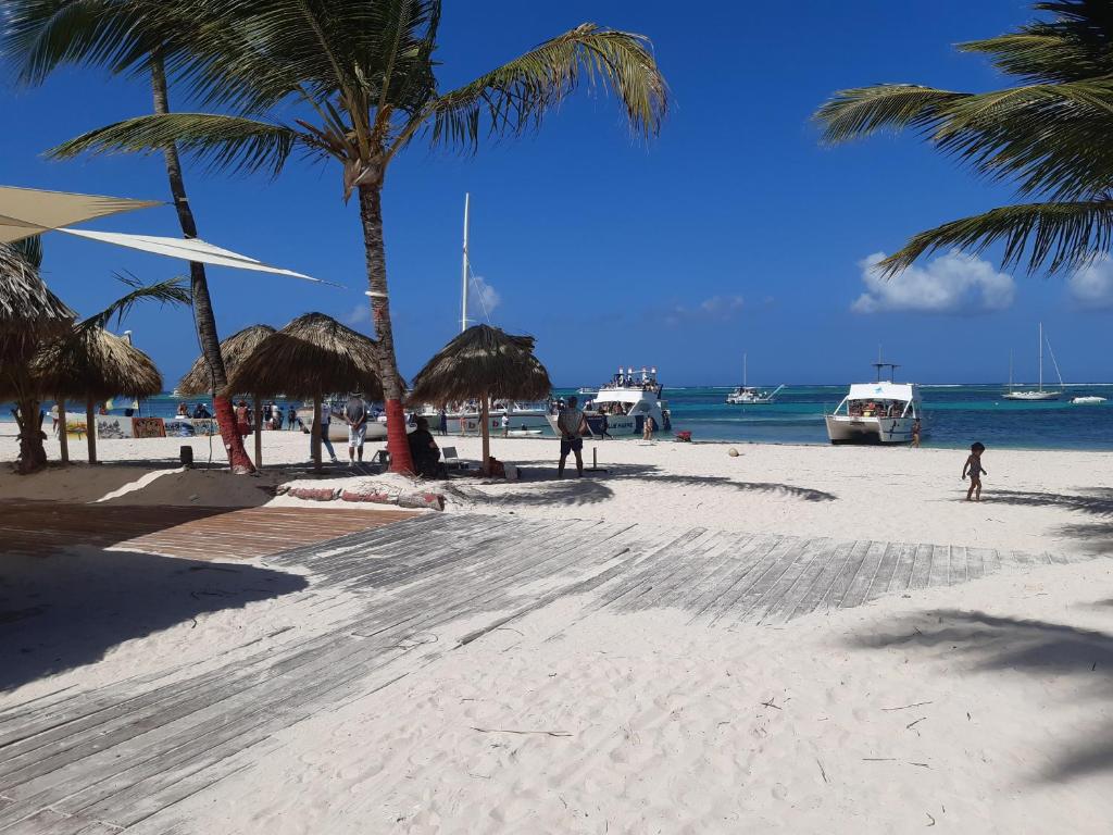 einen Sandstrand mit Palmen und dem Meer in der Unterkunft RELAX @ BEACH, BIBIJAGUA in Punta Cana