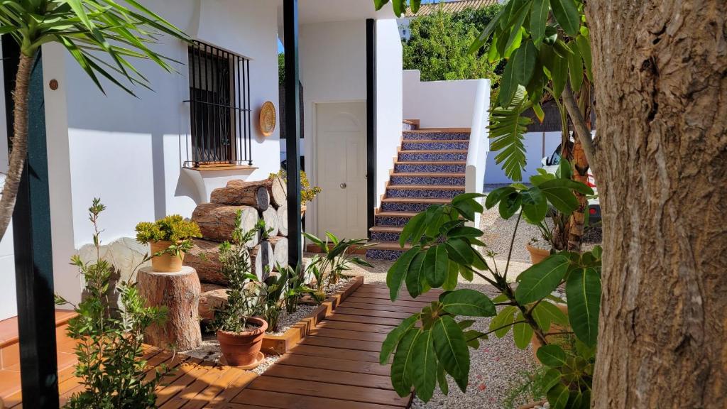 Zahrada ubytování Hostal Casa Arco Iris (Playa)
