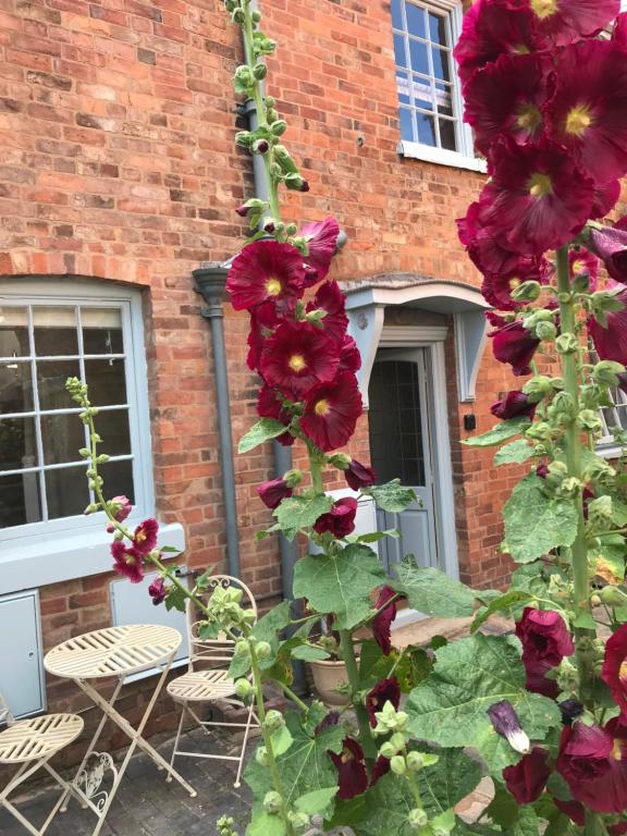 eine Gruppe von Blumen vor einem Backsteingebäude in der Unterkunft Clerks Cottage in Upton upon Severn