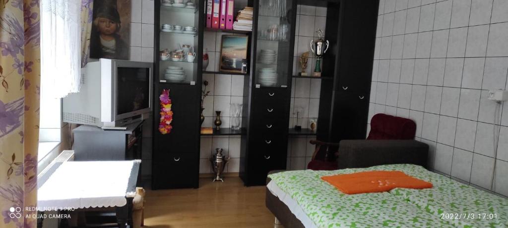 Pokój z sypialnią z łóżkiem i telewizorem w obiekcie Mini domek jednopokojowy w mieście Suwałki