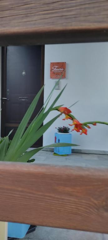 Fotografie z fotogalerie ubytování APARTMENT TSAIRA v destinaci Amolianí