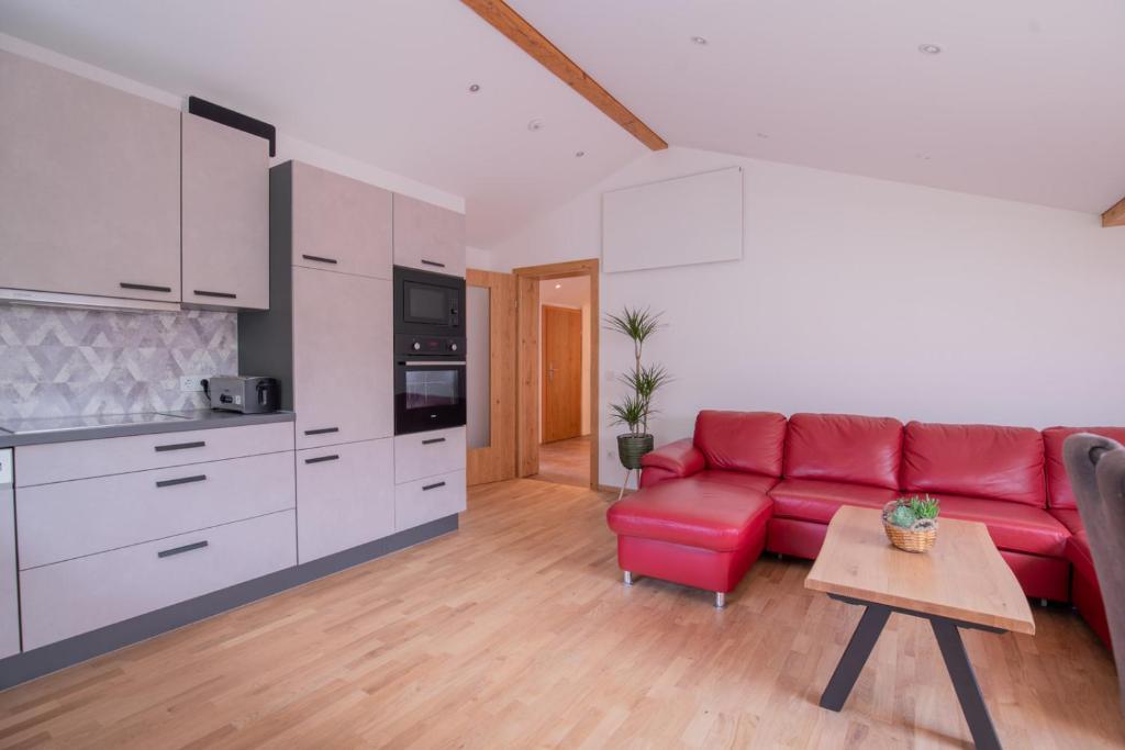 Kuchyň nebo kuchyňský kout v ubytování "Haus am Illufer" Ihr Smart-Alpin-Home in Bludenz
