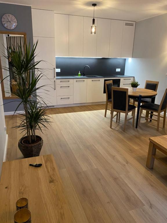 Kuchyňa alebo kuchynka v ubytovaní APARTAMENT KRZYŚ