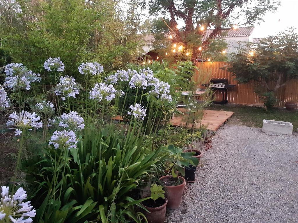 un jardín con flores púrpuras en un patio en Villa " Les Bambous " , Jardin , Terrasse , Climatisation , Wifi , Parking en Aviñón