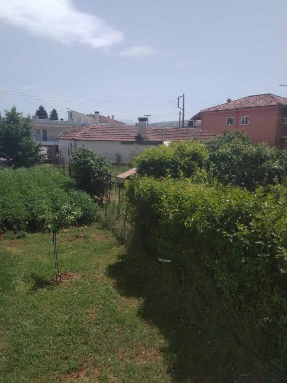 Dream House Ioannina - 12