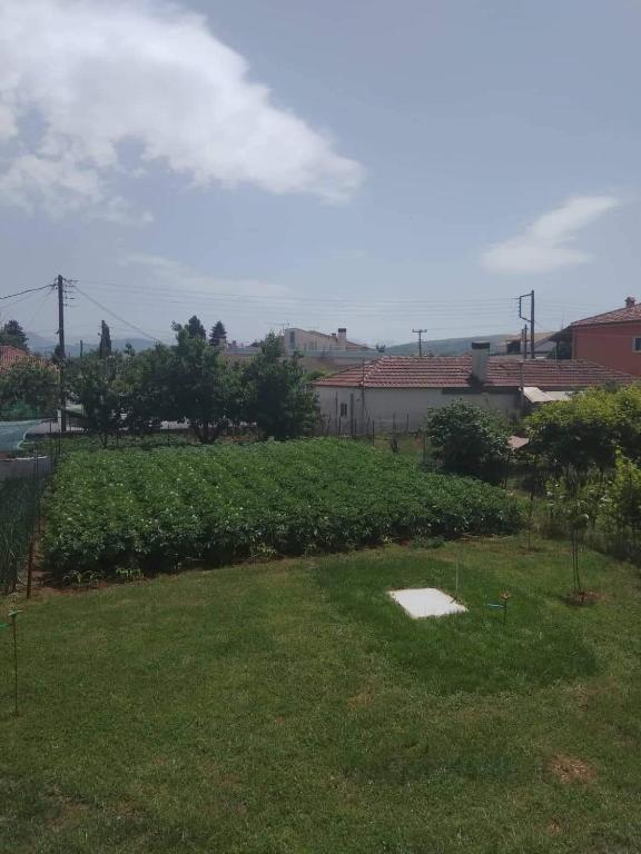 Dream House Ioannina - 11