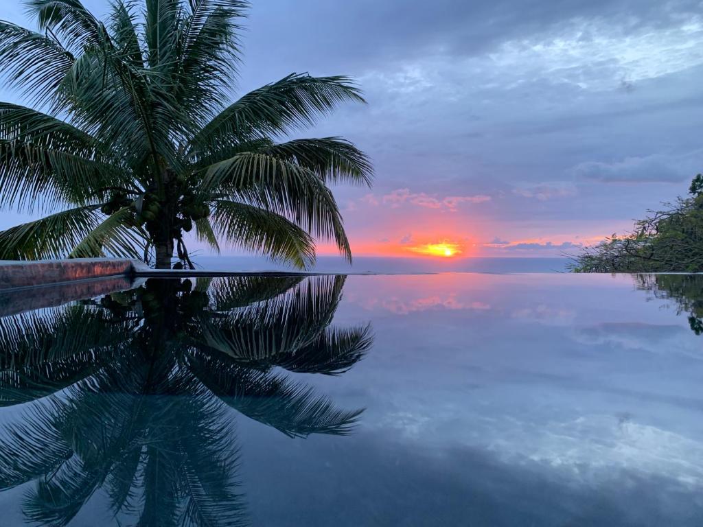 a palm tree reflecting in the water with a sunset at TropicAngel ECOLODGE de Charme in Pointe-Noire