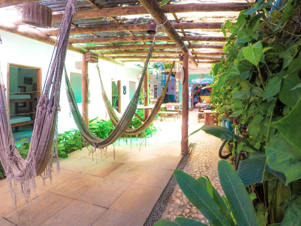 Um jardim em Buddy's Hostel Itacaré
