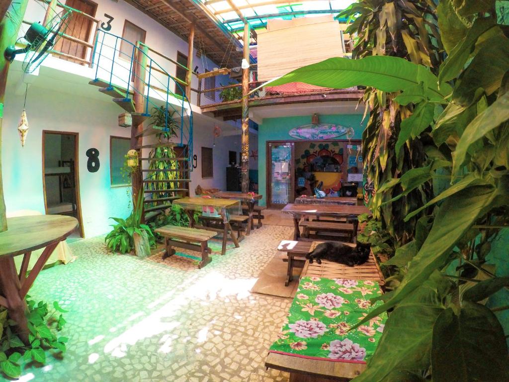 Um jardim em Buddy's Hostel Itacaré