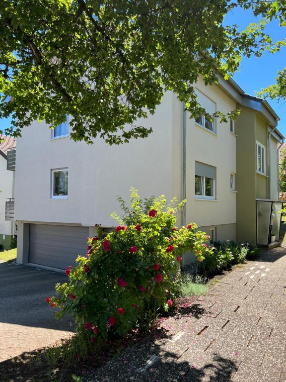 a house with red flowers in front of a driveway at Schwarzwald Appartement Steffanie in Freudenstadt