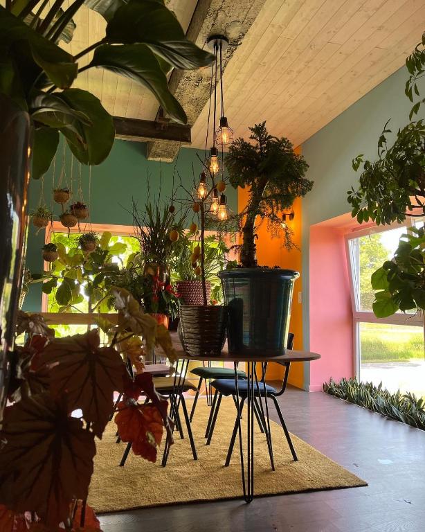 Zahrada ubytování Plantkot -Boekenkot -Kunstkot en love kot