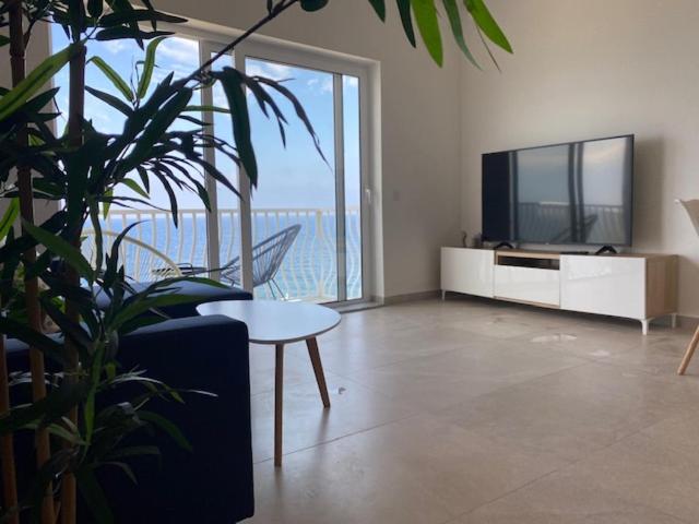 a living room with a tv and a potted plant at Lovely Sea View 3 Bedroom Apt in Marsalforn Gozo. in Żebbuġ